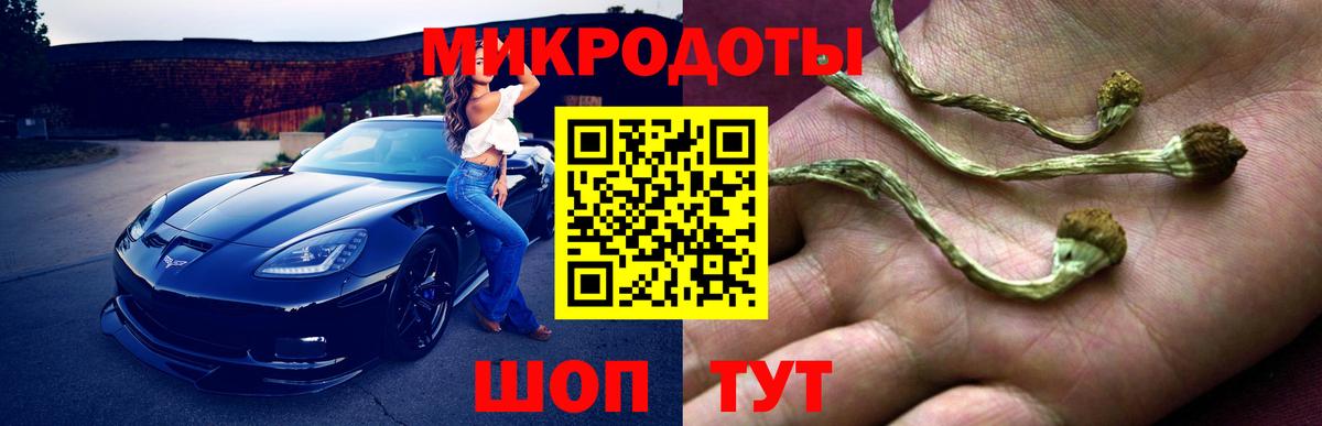 Галлюциногенные грибы ЛСД Верхняя Пышма