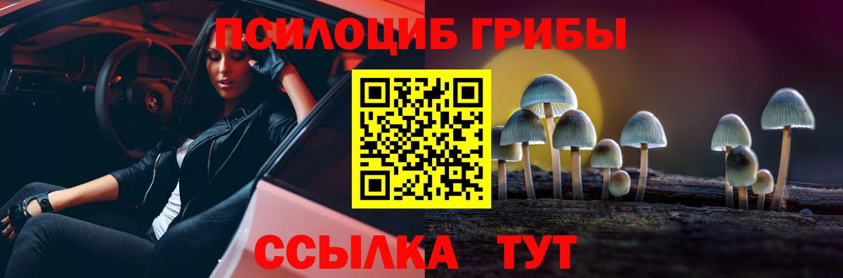 Верхняя Пышма  магазин продажи наркотиков  Вход с VPN  Псилоцибиновые грибы ЛСД 